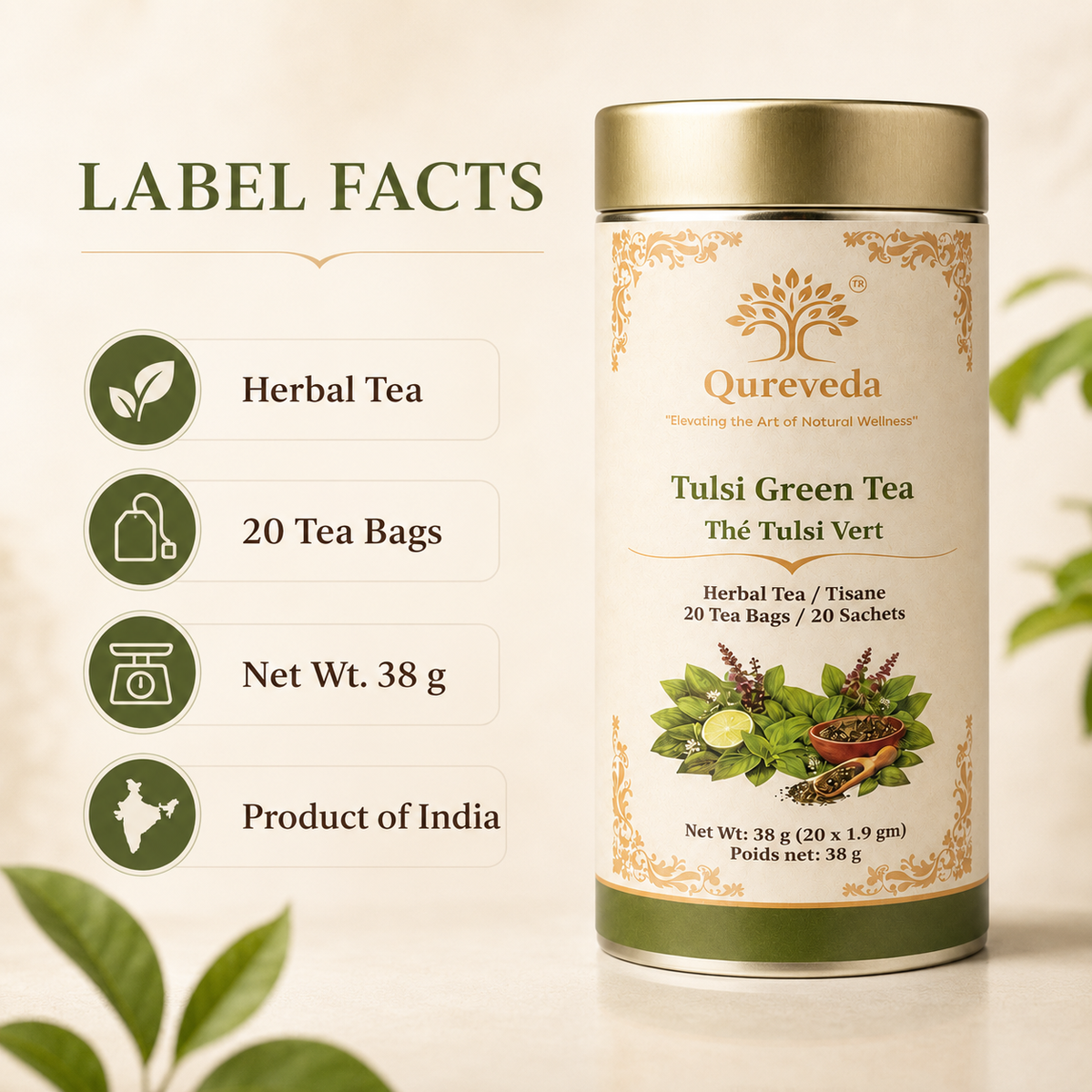 Tulsi Green Tea