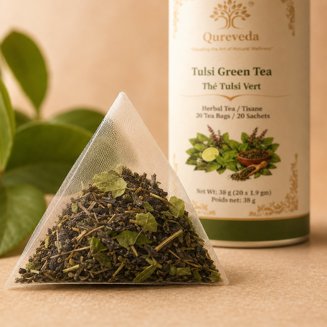 Tulsi Green Tea