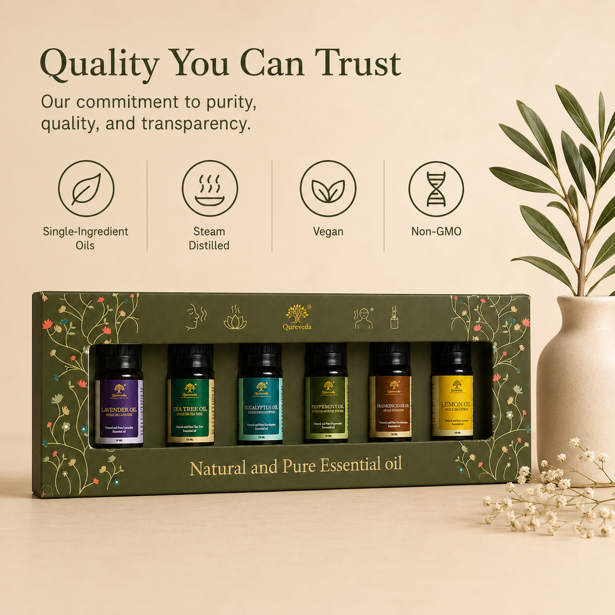 Essential Oils Set of 6