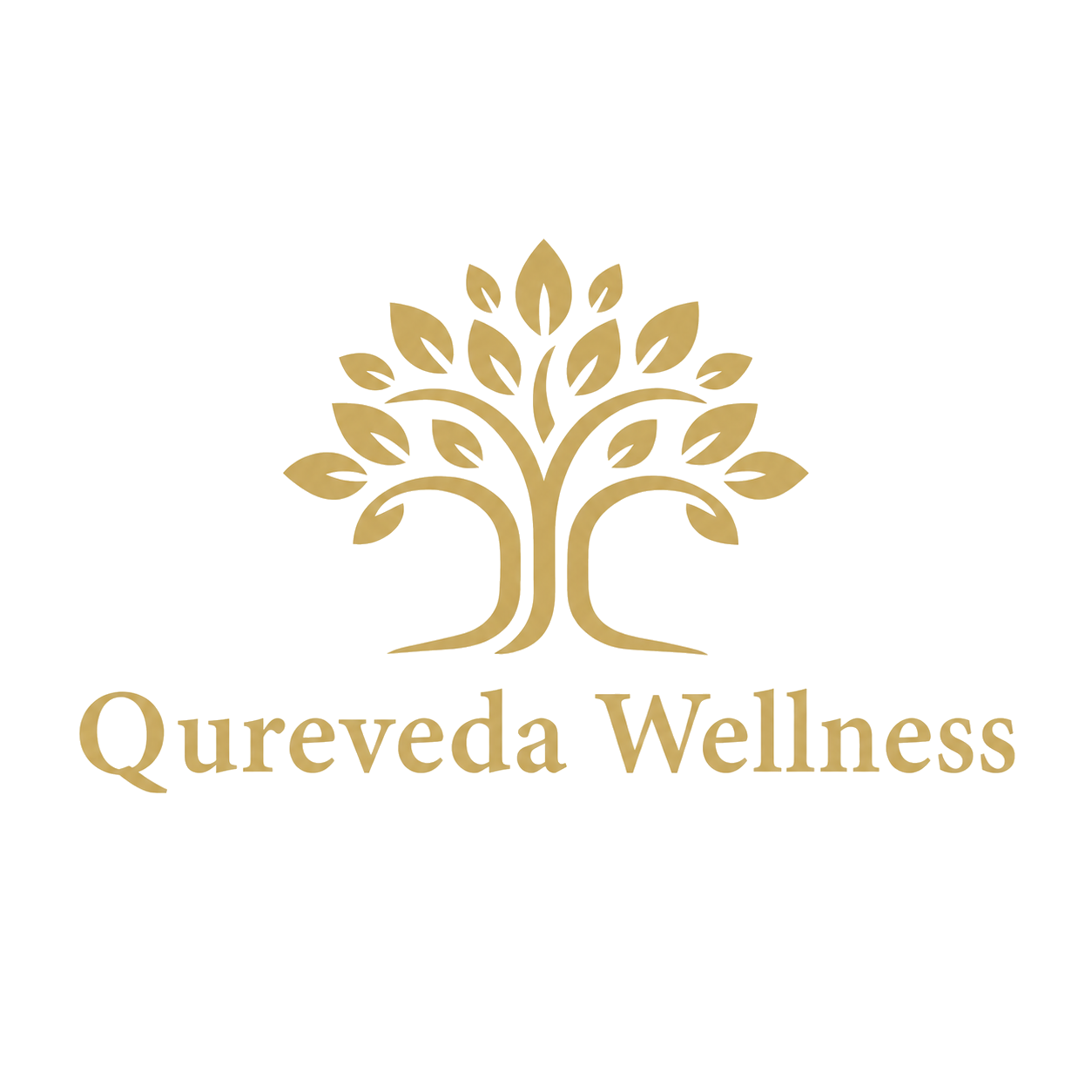 Qureveda Wellness